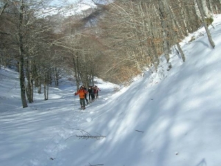 Scialpinismo con guide
